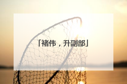 褚伟，升副部