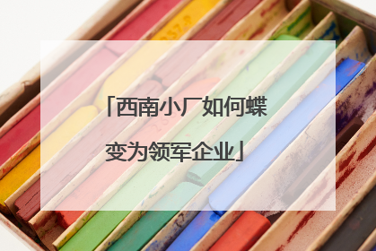 西南小厂如何蝶变为领军企业