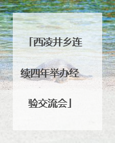 西凌井乡连续四年举办经验交流会