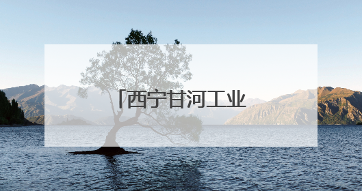 西宁甘河工业园区 锻强“高原工业筋骨”