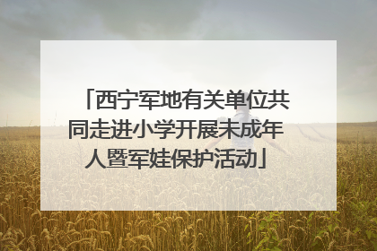 西宁军地有关单位共同走进小学开展未成年人暨军娃保护活动