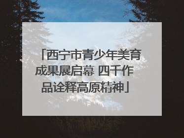 西宁市青少年美育成果展启幕 四千作品诠释高原精神