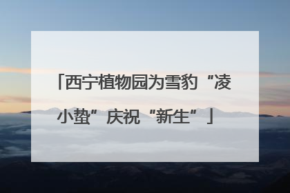 西宁植物园为雪豹“凌小蛰”庆祝“新生”