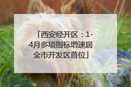 西安经开区：1-4月多项指标增速居全市开发区首位