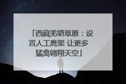 西藏羌塘草原：设置人工鹰架 让更多猛禽翱翔天空