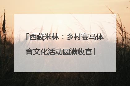 西藏米林：乡村赛马体育文化活动圆满收官