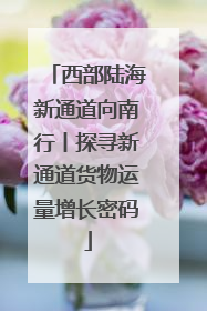 西部陆海新通道向南行丨探寻新通道货物运量增长密码