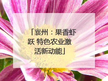 襄州：果香虾跃 特色农业激活新动能