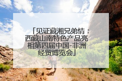 见证藏湘兄弟情：西藏山南特色产品亮相第四届中国-非洲经贸博览会