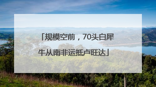 规模空前，70头白犀牛从南非运抵卢旺达