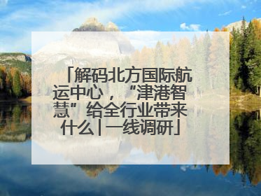 解码北方国际航运中心，“津港智慧”给全行业带来什么│一线调研