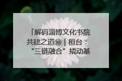 解码淄博文化书院共建之道⑩｜桓台：“三链融合”撬动基层文化共治新动能
