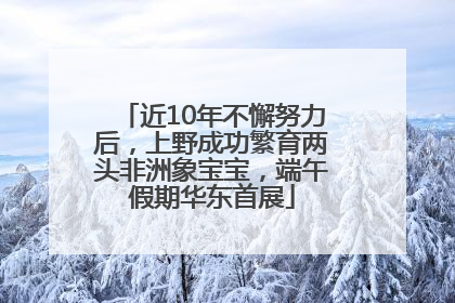 近10年不懈努力后，上野成功繁育两头非洲象宝宝，端午假期华东首展