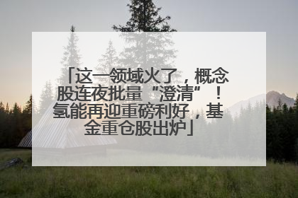 这一领域火了，概念股连夜批量“澄清”！氢能再迎重磅利好，基金重仓股出炉