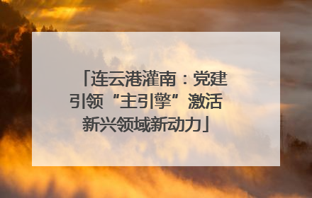连云港灌南：党建引领“主引擎”激活新兴领域新动力