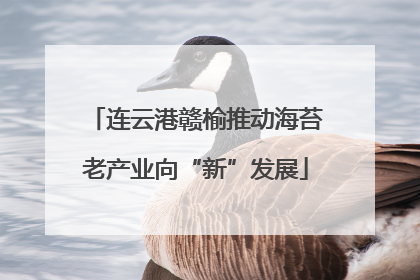 连云港赣榆推动海苔老产业向“新”发展