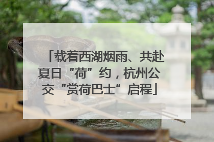 载着西湖烟雨、共赴夏日“荷”约，杭州公交“赏荷巴士”启程