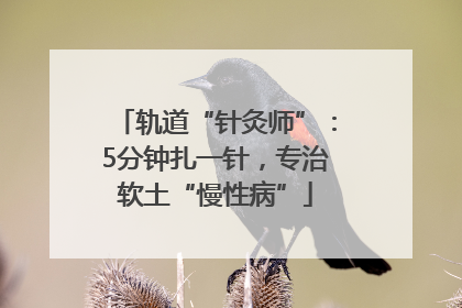 轨道“针灸师”：5分钟扎一针，专治软土“慢性病”