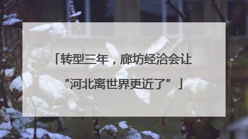 转型三年，廊坊经洽会让“河北离世界更近了”