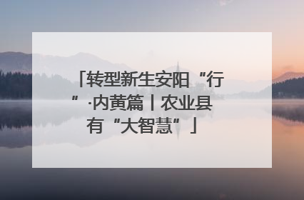 转型新生安阳“行”·内黄篇丨农业县有“大智慧”