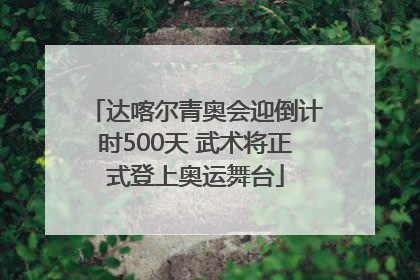 达喀尔青奥会迎倒计时500天 武术将正式登上奥运舞台