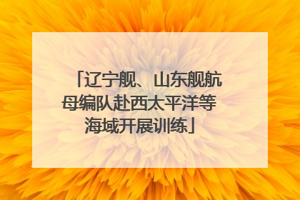 辽宁舰、山东舰航母编队赴西太平洋等海域开展训练