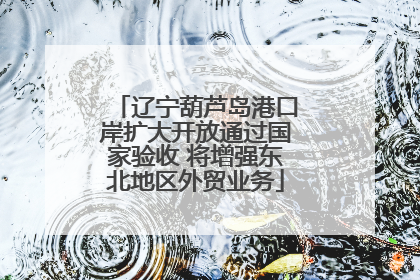 辽宁葫芦岛港口岸扩大开放通过国家验收 将增强东北地区外贸业务