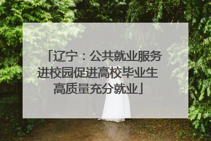 辽宁：公共就业服务进校园促进高校毕业生高质量充分就业