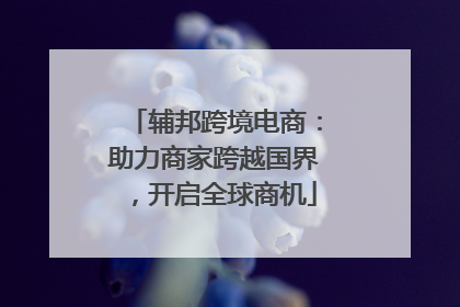 辅邦跨境电商：助力商家跨越国界，开启全球商机