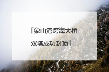 象山港跨海大桥双塔成功封顶