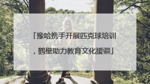 豫哈携手开展匹克球培训，鹤壁助力教育文化援疆