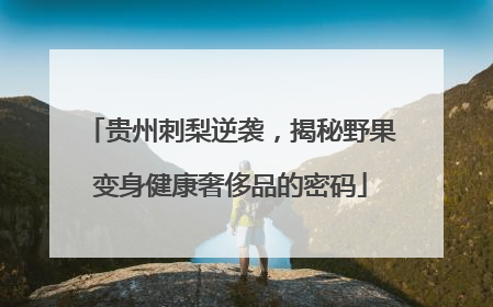 贵州刺梨逆袭，揭秘野果变身健康奢侈品的密码