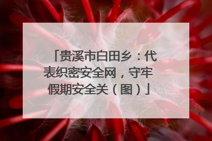 贵溪市白田乡：代表织密安全网，守牢假期安全关（图）