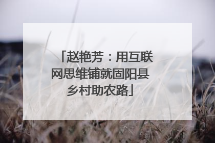 赵艳芳：用互联网思维铺就固阳县乡村助农路