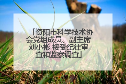 资阳市科学技术协会党组成员、副主席刘小彬 接受纪律审查和监察调查
