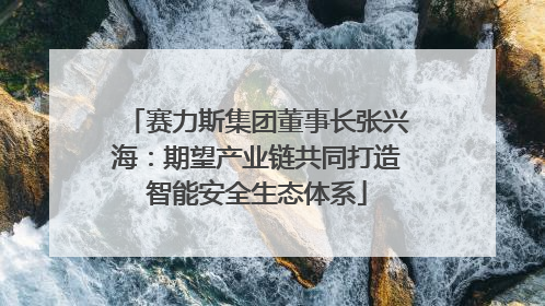 赛力斯集团董事长张兴海：期望产业链共同打造智能安全生态体系