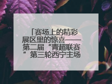 赛场上的精彩 展区里的惊喜——第二届“青超联赛”第三轮西宁主场比赛见闻