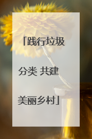 践行垃圾分类 共建美丽乡村