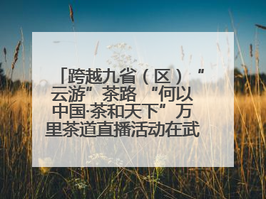 跨越九省（区）“云游”茶路 “何以中国·茶和天下”万里茶道直播活动在武夷山启动