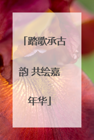 踏歌承古韵 共绘嘉年华