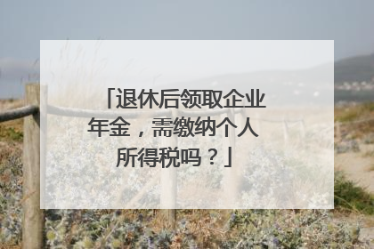 退休后领取企业年金，需缴纳个人所得税吗？