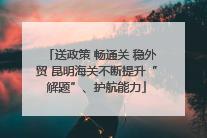 送政策 畅通关 稳外贸 昆明海关不断提升“解题”、护航能力