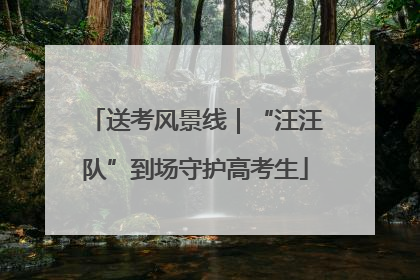 送考风景线｜“汪汪队”到场守护高考生