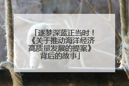 逐梦深蓝正当时！《关于推动海洋经济高质量发展的提案》背后的故事