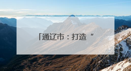 通辽市：打造“一园一展厅一基地”创新模式