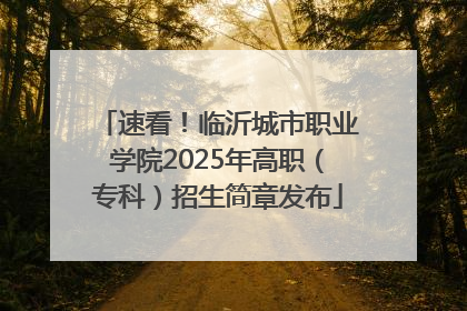 速看！临沂城市职业学院2025年高职（专科）招生简章发布