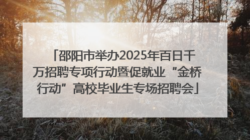 邵阳市举办2025年百日千万招聘专项行动暨促就业“金桥行动”高校毕业生专场招聘会