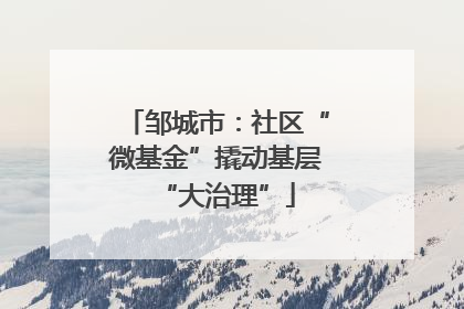 邹城市：社区“微基金”撬动基层“大治理”