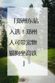 郑州东站入选！郑州人可带宠物猫狗坐高铁