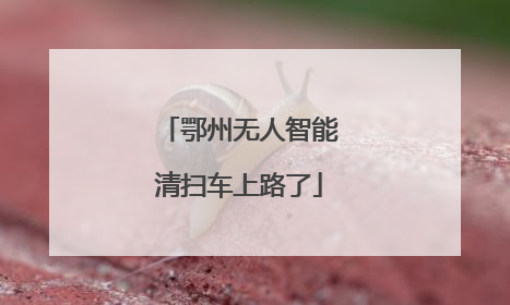 鄂州无人智能清扫车上路了